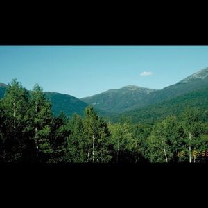 Meet your Posher, Nora